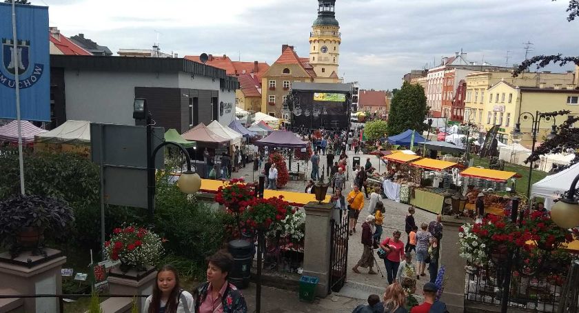 Kwiatowa stolica Polski 