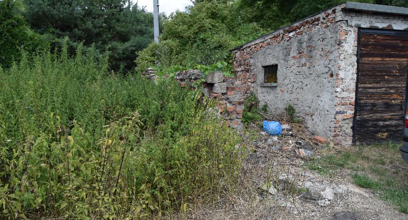 Zebrano tonę odpadów