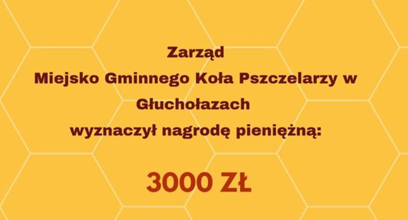 Zginęło pół miliona pszczół 