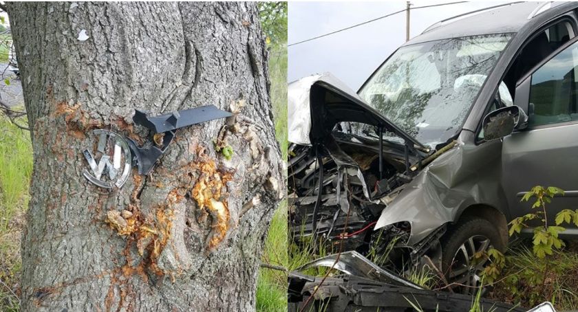 Auto wbiło się w drzewo. Kierowca trafił do szpitala [aktualizacja]
