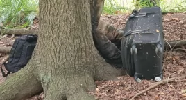 Grzybiarz znalazł zwłoki przywiązane do drzewa