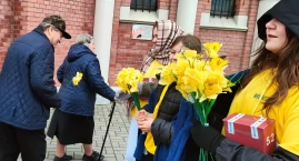 Żonkile znów zakwitną w Nysie. Zbiórka dla Hospicjum&hellip;