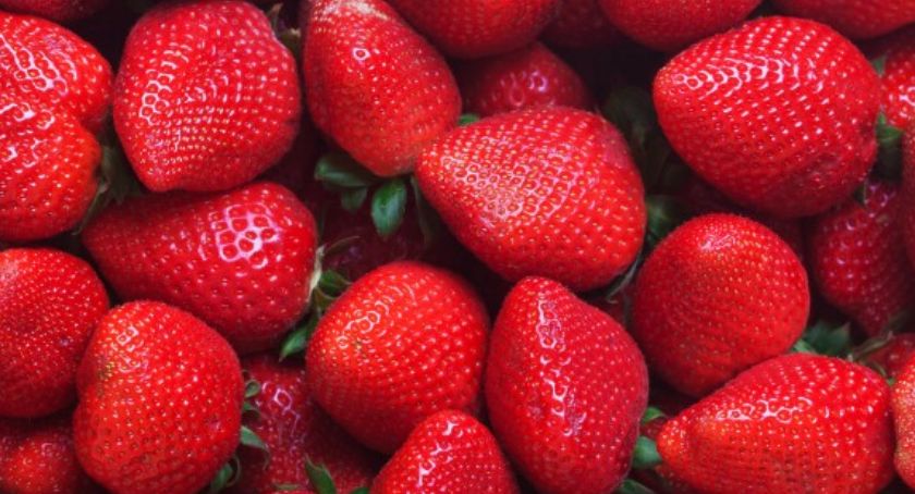 Dlaczego na początku sezonu truskawki są tak drogie? Nawet 50 zł za łubiankę