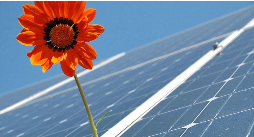 Sadownicy będą współpracować z Mazowiecką Agencją Energetyczną. Przy wykorzystaniu odnawialnych źródeł energii