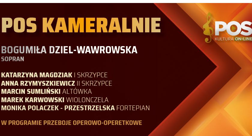 Płoccy symfonicy kameralnie