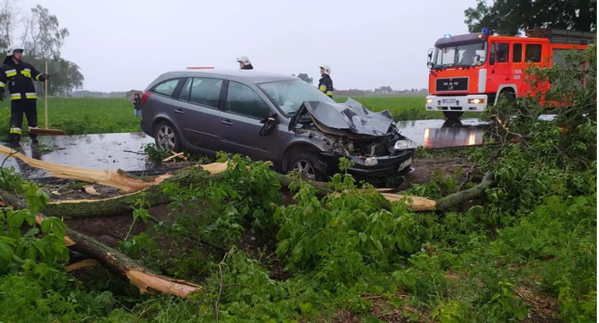 Drzewo przewróciło się na samochód. Strażacy cały czas wzywani są do akcji 