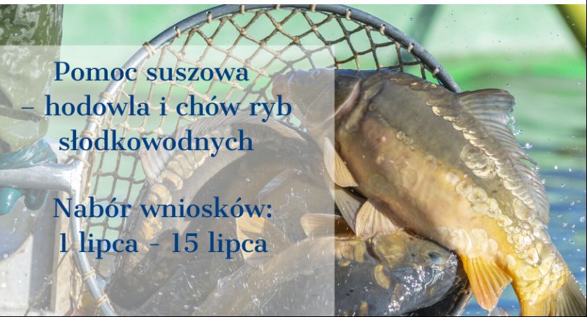 Pomoc suszowa dla utrzymujących stawy hodowlane – wnioski od 1 lipca