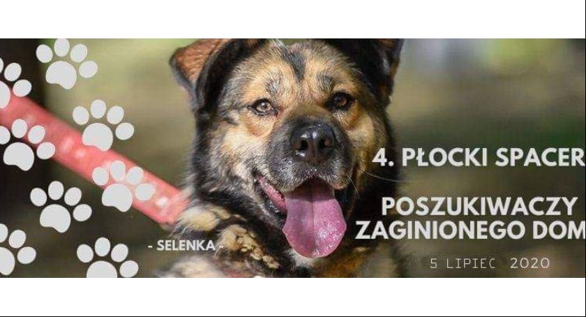 Poszukiwacze zaginione domu wyruszą na spacer po Płocku. Szukasz przyjaciela na dobre i złe? Dołącz do nich!