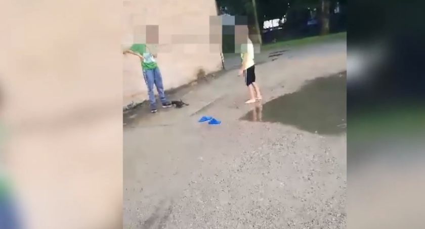 Dzieci maltretowały szczeniaka. Sprawa trafiła na policję [FILM. DRASTYCZNE SCENY]
