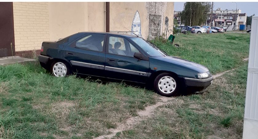 Czy można parkować na trawniku?