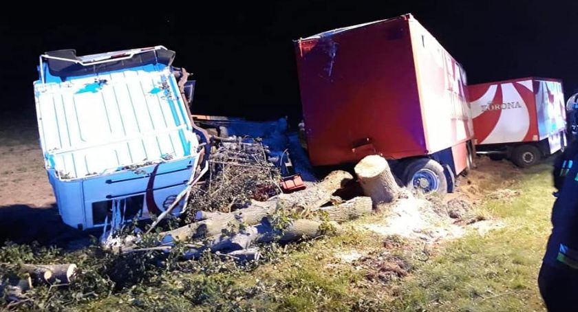 Cyrkowa ciężarówka zatrzymała się na drzewie. Kierowca miał szczęście 