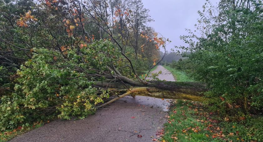 Drzewa tarasują drogi. Strażacy od wczoraj mają mnóstwo zgłoszeń 