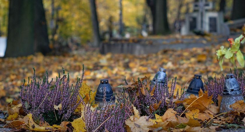 W Płocku 1 listopada msza św. w bazylice katedralnej 