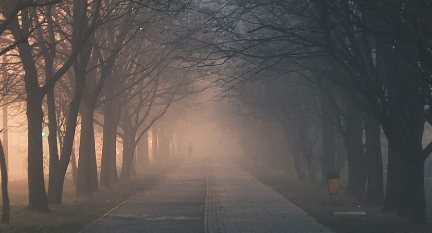 Ostrzeżenie przed mgłami. Kiedy może być ograniczona widoczność?