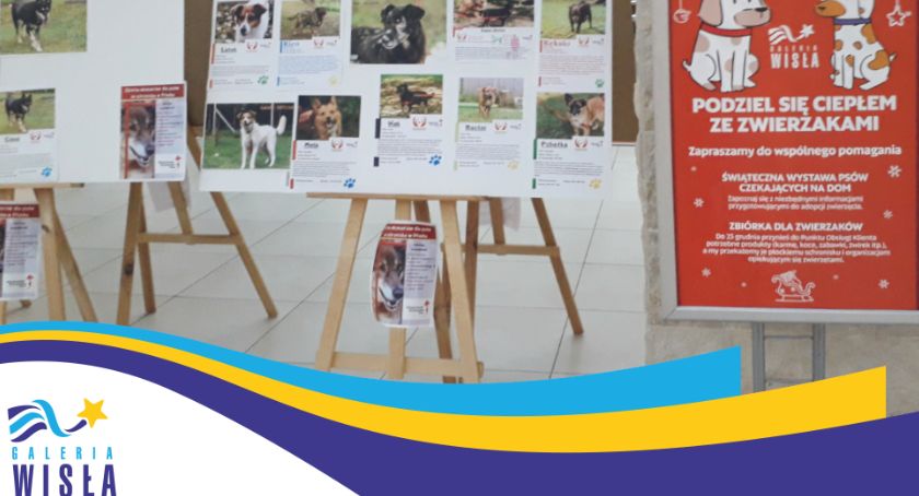 Płocczanie wraz z Galerią Wisła podzielili się ciepłem