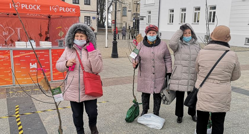 Drzewko zamiast kwiatka. Dzień Kobiet po płocku 