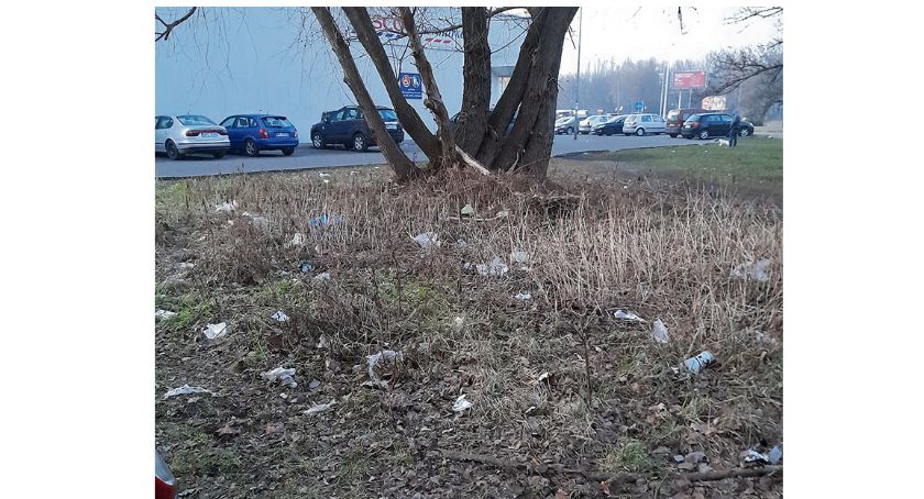 Trawnik przy zbiegu Mickiewicza i Chopina. Wysypisko śmieci