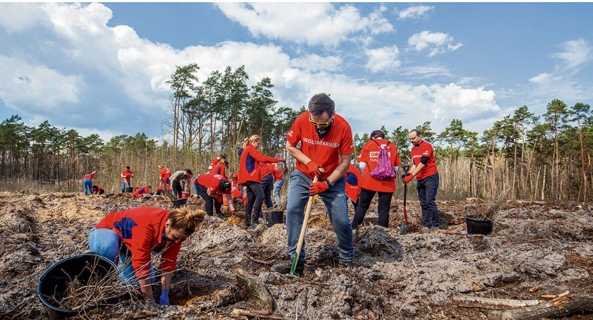 20 tysięcy drzew posadzono pod Płockiem. Na 20-lecie Fundacji ORLEN