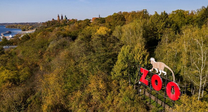 Ze skarpy zniknął słynny witacz! Co się stało?
