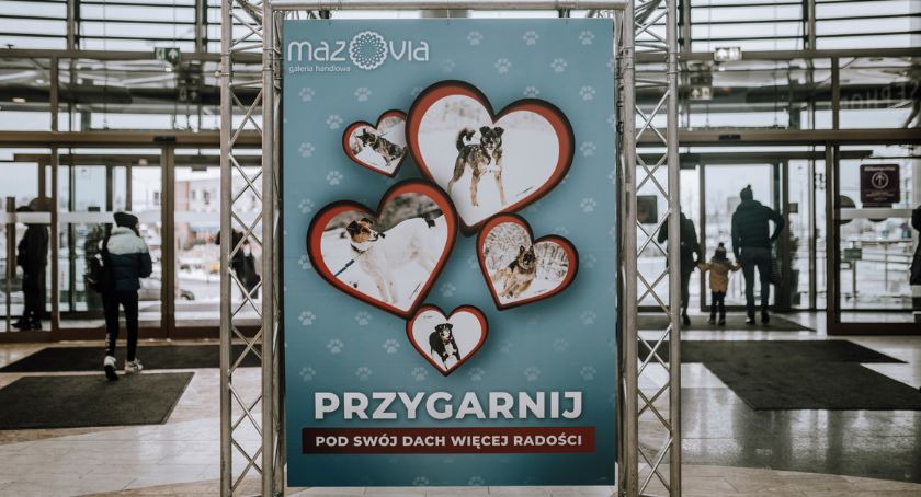 Galeria Mazovia wraz z dziećmi pomoże w adopcji psów. Przygarnij!