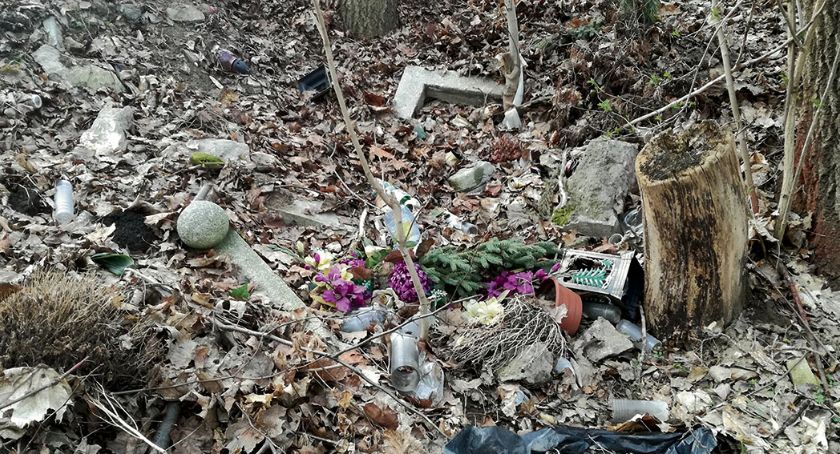 Grupa Płock dla Drzew walczy o Jar Pisencja. To mało znana oaza zieleni