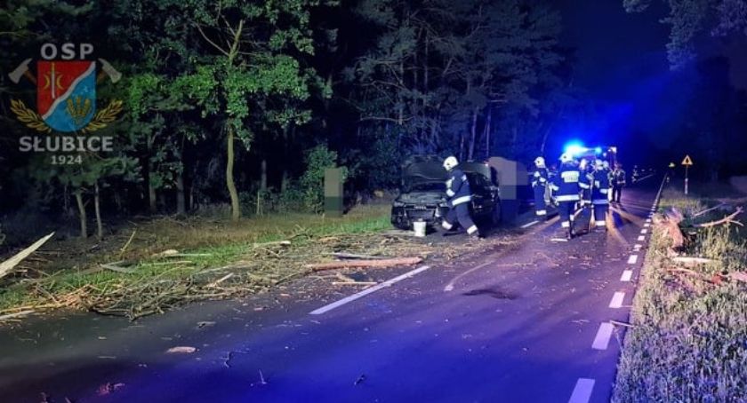Jechali nocą usunąć powalone na drogę drzewo. Nie zdążyli. Wpadły na nie 3 auta [FOTO]