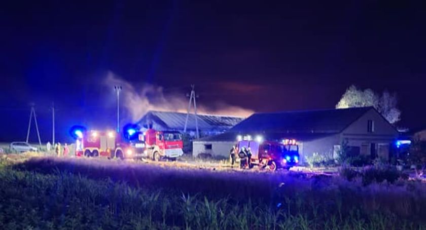 Tragedia w Adamowie. Pożar zabrał wszystko, oszczędził tylko zwierzęta. Pomóżmy!