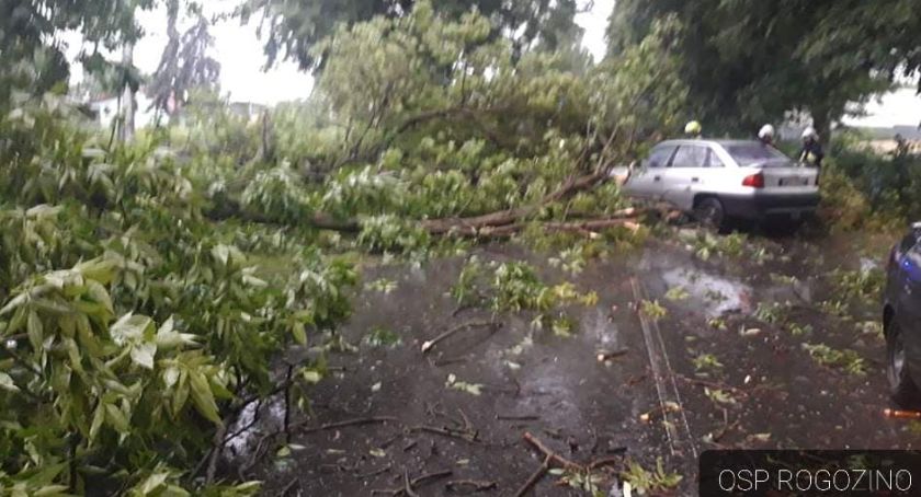 Krajobraz po burzy. Wiatrołomy na drogach, zalane posesje, zerwane linie energetyczne [FOTO]