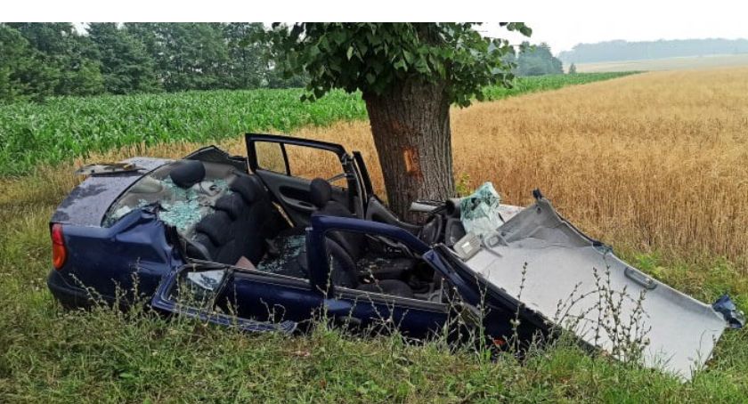 Renault uderzyło w drzewo. W aucie uwięziona została ranna kobieta