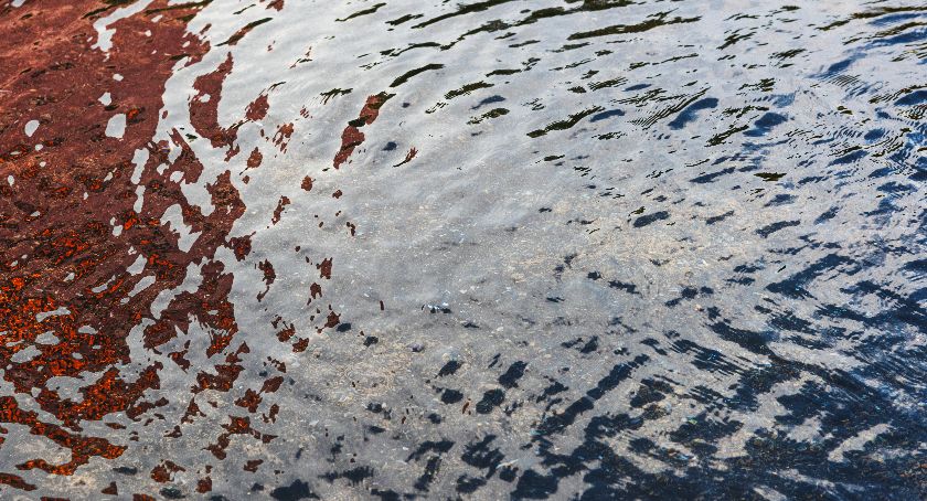 Może dojść do lokalnych podtopień i wzrostu poziomu wody w rzekach