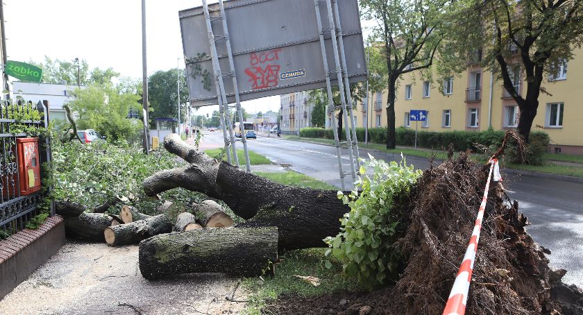 Płock po nawałnicy. Trwa usuwanie szkód