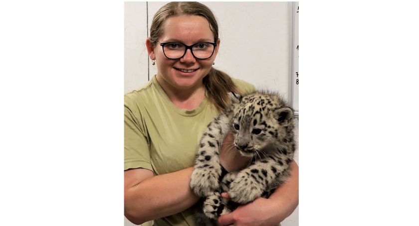 Podglądamy pracę opiekuna zwierząt w płockim ZOO. Dlaczego drapieżniki  poszczą w poniedziałki…?