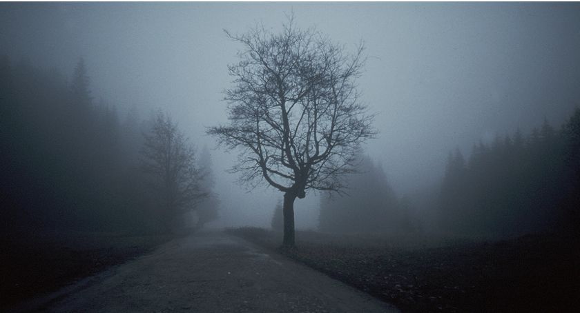 Płockie Dni Fotografii opanują całe miasto. Wielkie otwarcie juz w piątek!  