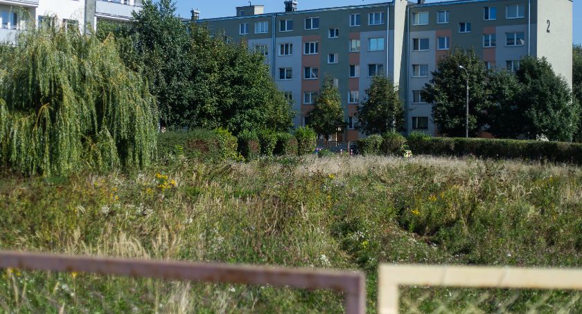 Zazieleni się skwer przy ul. Braci Jeziorowskich