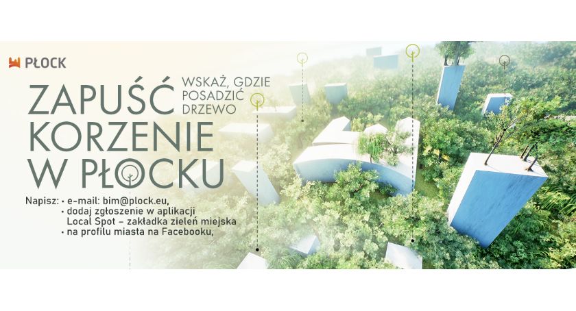 Zapuść korzenie w Płocku