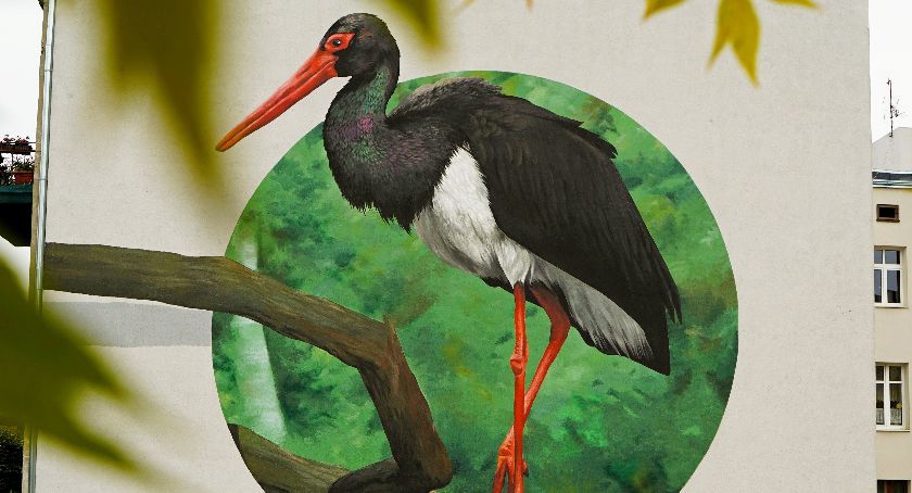 Ciekawostka dla ornitologów - niezwykły mural bociana czarnego