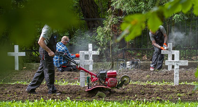 8 skazanych z płockiego Zakładu Karnego uporządkowało Cmentarz Garnizonowy. 136 odnowionych krzyży poległych żołnierzy