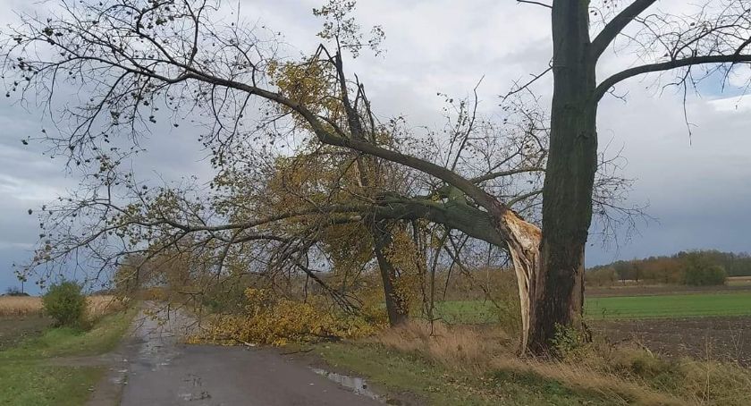 Wiatr zerwał dachy i powalił drzewa. Niestety, będzie jeszcze mocno wiało w nocy i w piątek [FOTO]