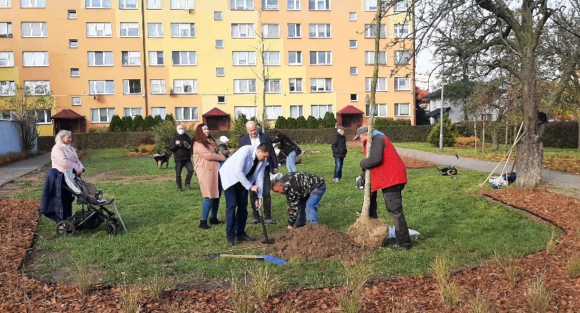 Kolejne Drzewa Młodych Płocczan już posadzone