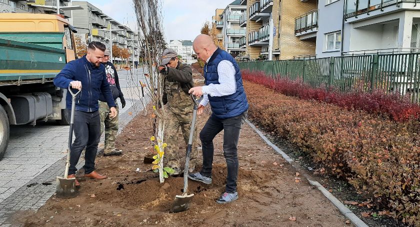21 buków przy pasażu Paderewskiego