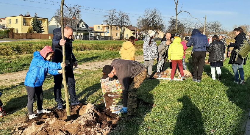 Kolejne drzewa posadzone. Tym razem przy ulicy Południowej