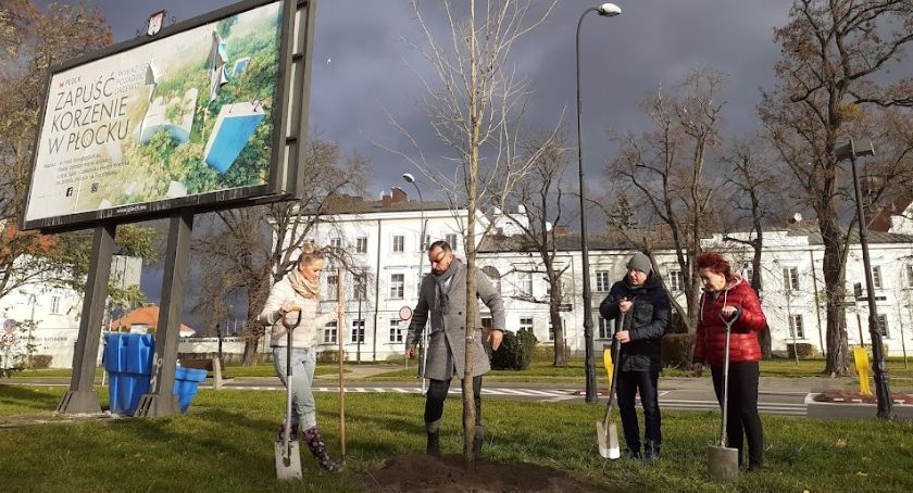 Zielone płuca dla Płocka. Finał nasadzeń