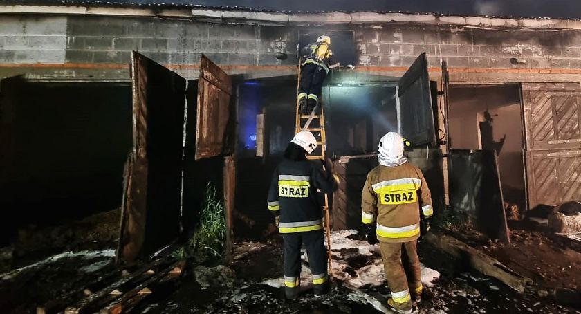 W tym roku interweniowali już ponad 550 razy! Tytani parcy z Gąbina