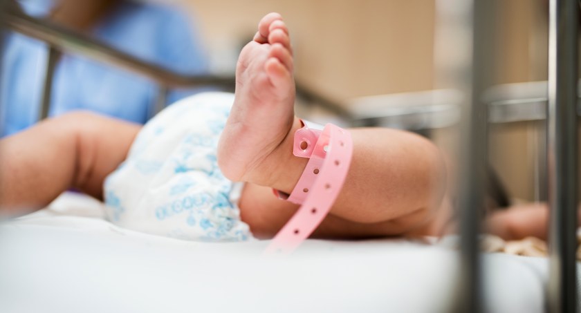  Ponad 1000 noworodków na Winiarach. Więcej chłopaków, najczęściej w marcu i czerwcu 