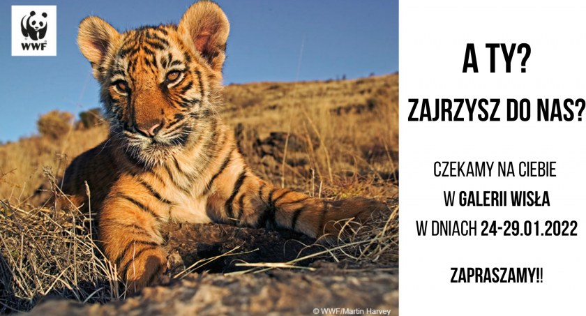 Fundacja WWF w Galerii Wisła! Razem możemy ratować dzikie zwierzęta! 