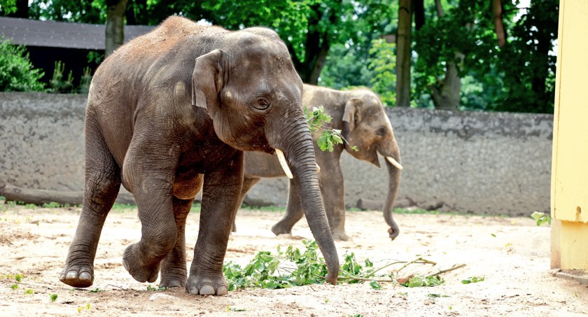 Feriujemy w płockim ZOO i nie tylko!