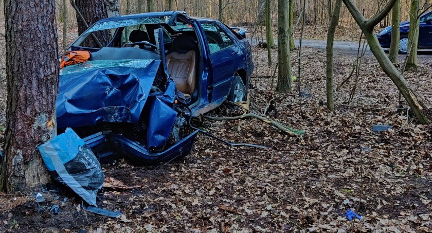 Seat toledo uderzył w drzewo. Dwie osoby trafiły do szpitala