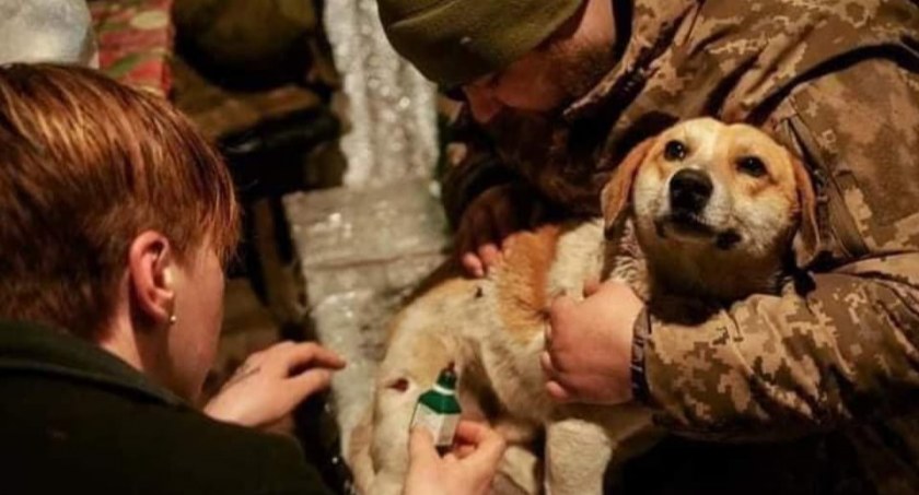 Wszyscy ratują ludzi. Oni będą ratować zwierzęta. W środę rusza z Płocka misja specjalna na Ukrainę