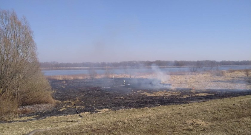 2 hektary traw w ogniu w Ludwikowie! Pożar zagrażał mieszkańcom. Pilny apel strażaków!      