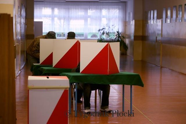 Wybory samorządowe 2010 na Mazowszu Płockim